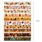 Wrapables Decorative Washi Tape for Scrapbooking, Stationery, Diary, Card Making (10 Rolls), Autumn Day